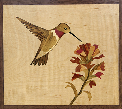 Hummingbird by Craig Altobello